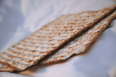 Passover - Shalom