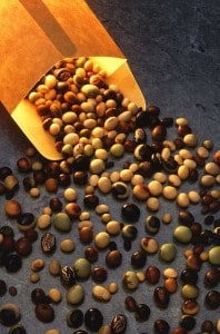 varieties of raw soybeans. 