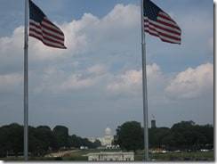 washington capitol american flags