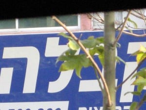 Bnei Baruch kabbalah center--a cult?
