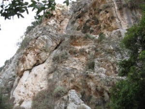 Cliffs Viewed from Below