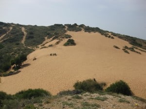 Sand Dune in Poleg Nature Reserve